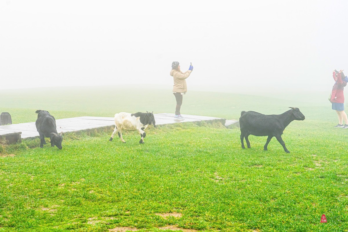 重庆游记（四）武隆仙女山