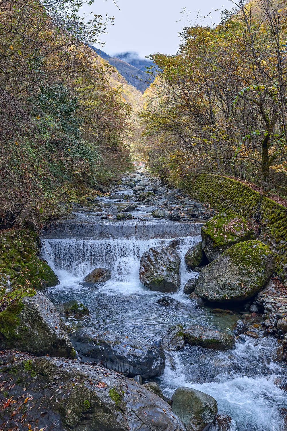 旅游记录 ：湖北 · 神农架 · 官门山