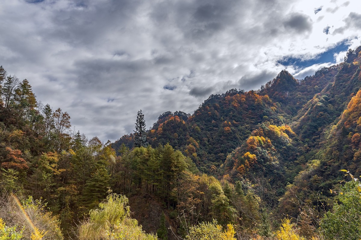 旅游记录 ：湖北 · 神农架 · 官门山