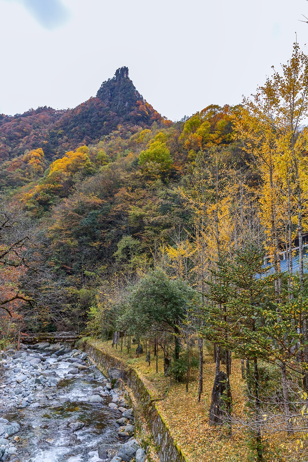 旅游记录 ：湖北 · 神农架 · 官门山