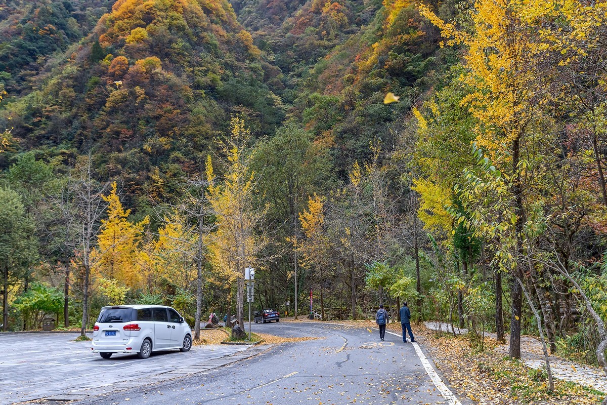 旅游记录 ：湖北 · 神农架 · 官门山
