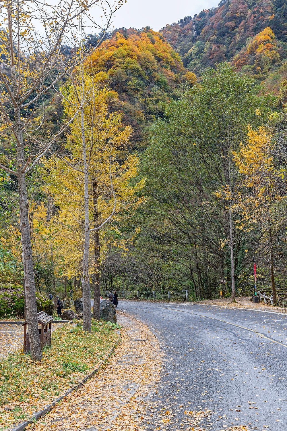 旅游记录 ：湖北 · 神农架 · 官门山