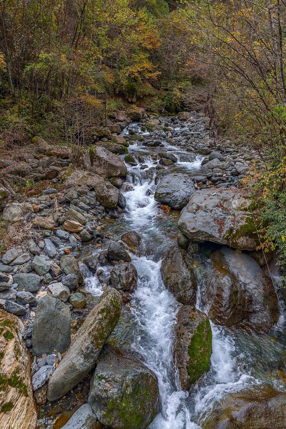 旅游记录 ：湖北 · 神农架 · 官门山