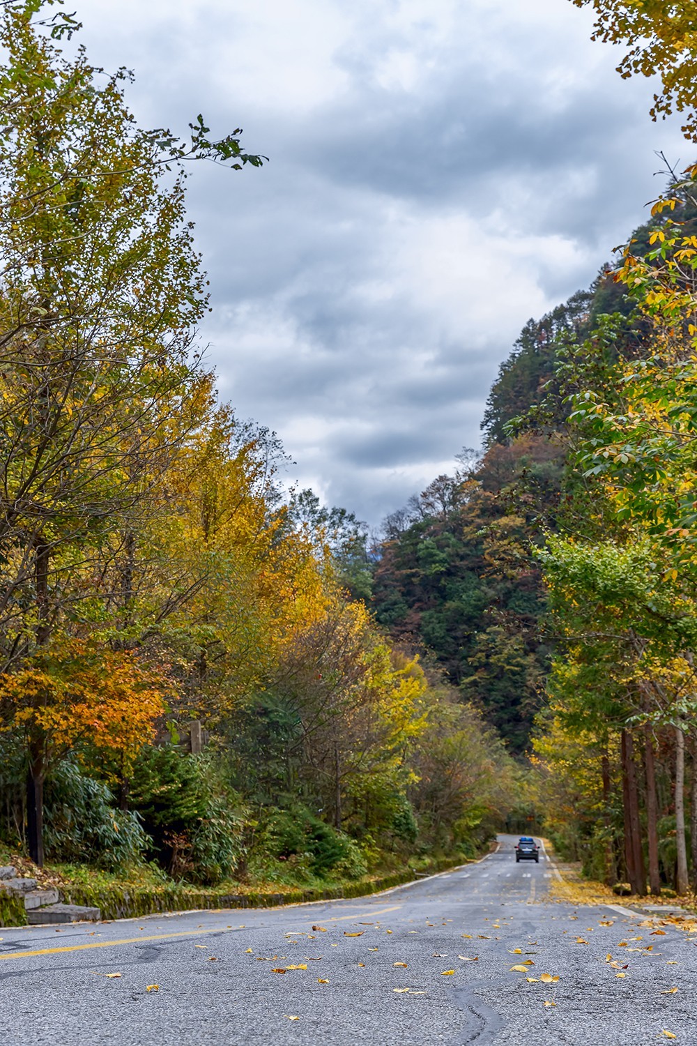 旅游记录 ：湖北 · 神农架 · 官门山