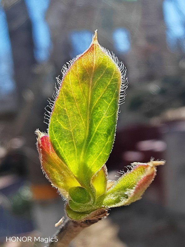 2025四月初春《春暖花开》迎来新的一年春季。