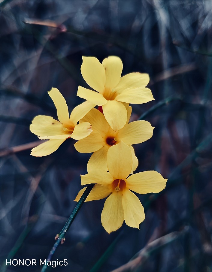 2025四月初春《春暖花开》迎来新的一年春季。