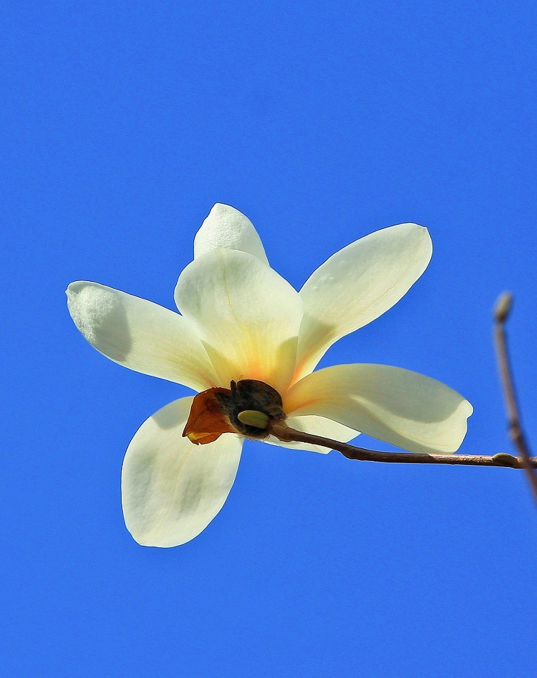 2025四月初春《春暖花开》迎来新的一年春季。