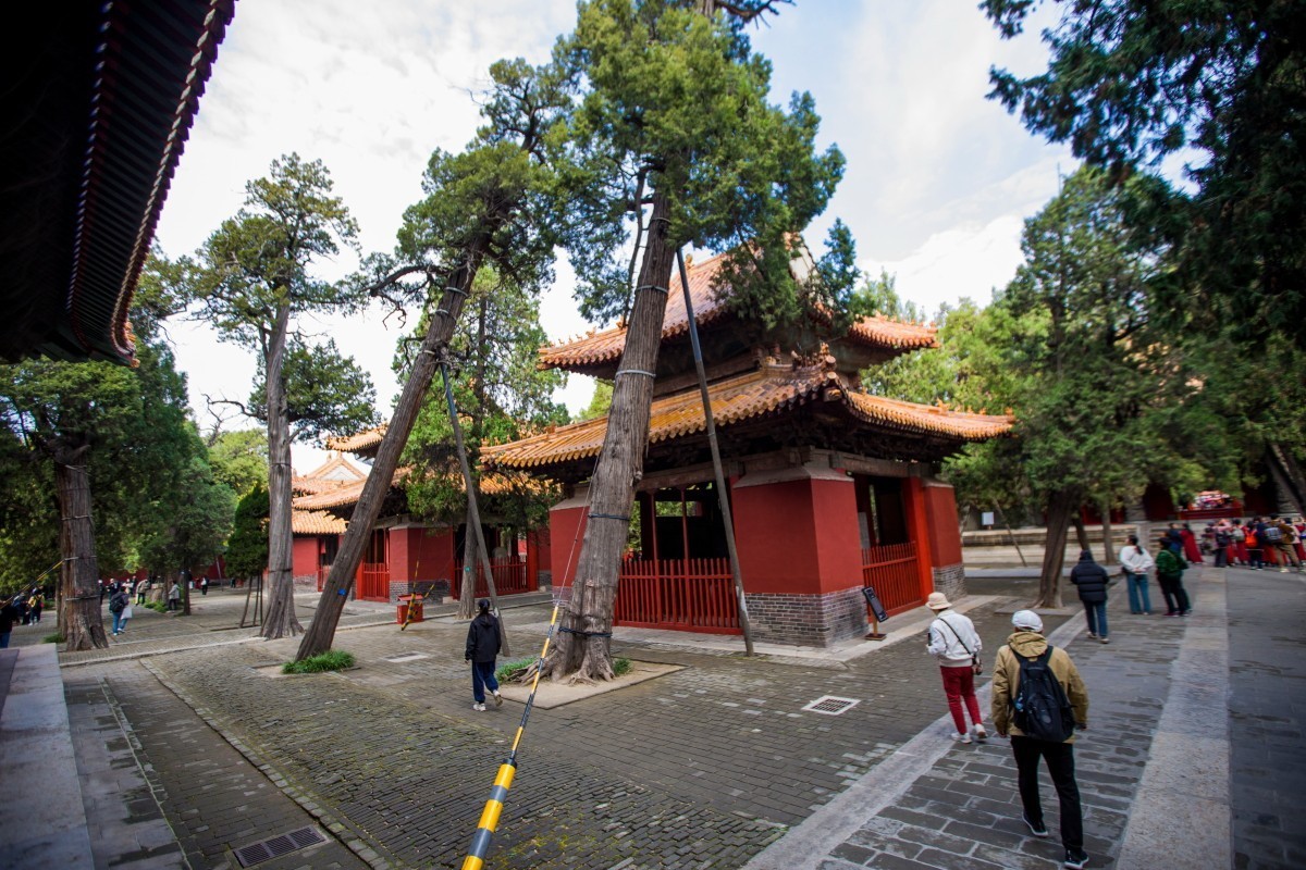 外出随拍（续383）.