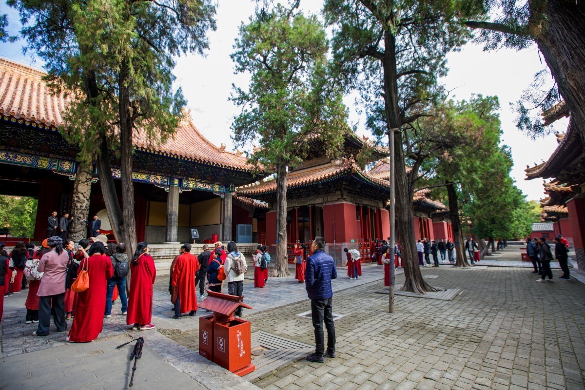 外出随拍（续383）.