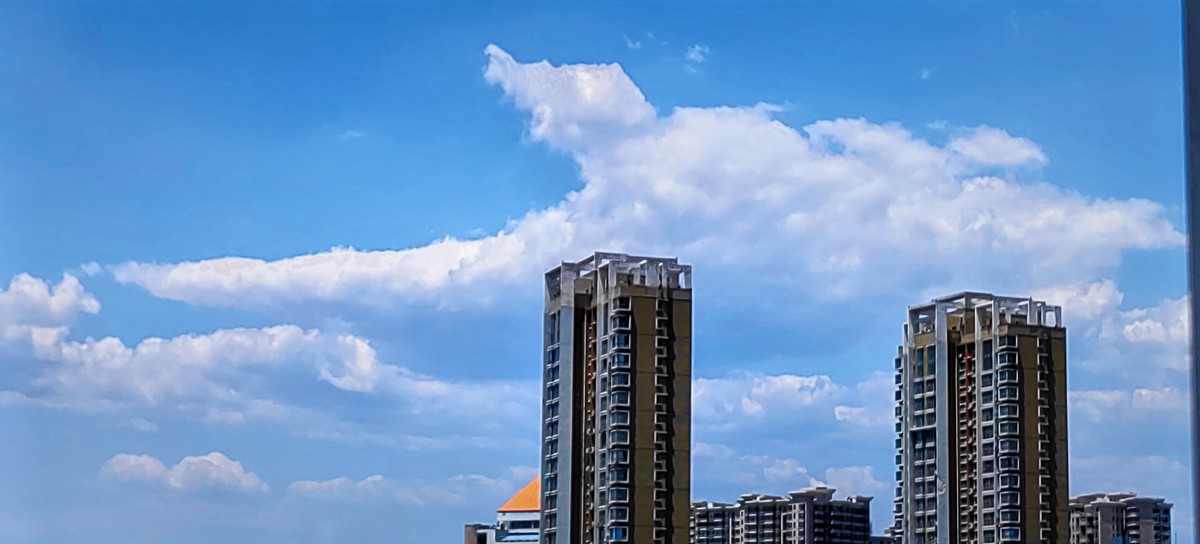 龙源湖遛弯随手拍（手机版）