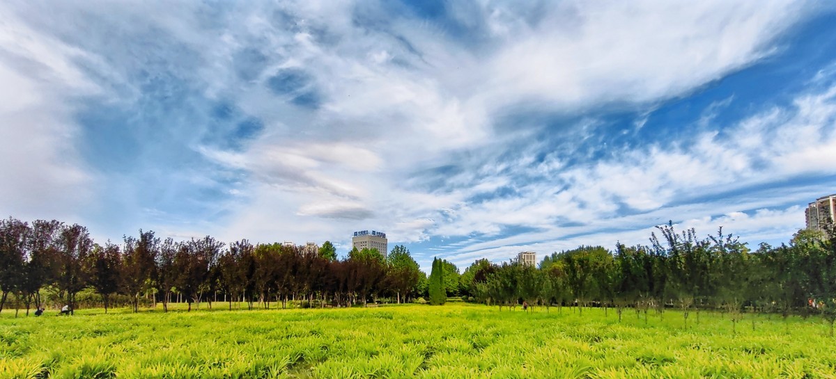 龙源湖遛弯随手拍（手机版）