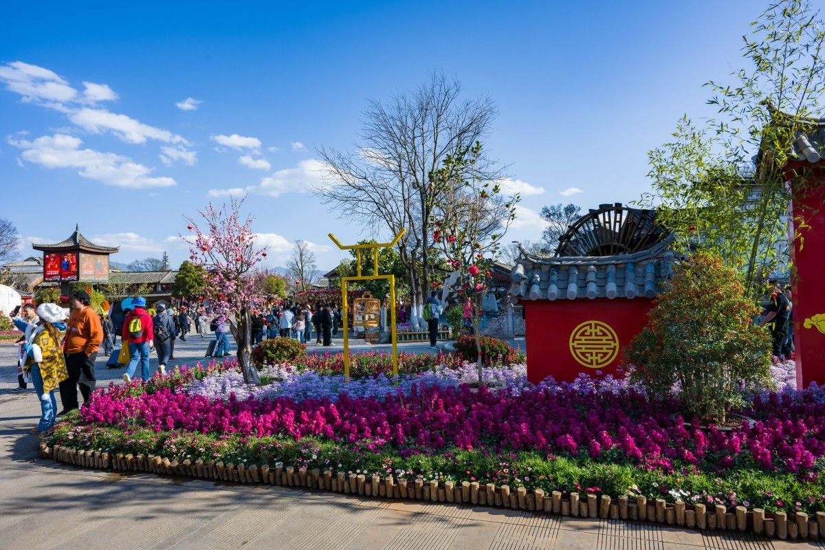 丽江-我又来了！