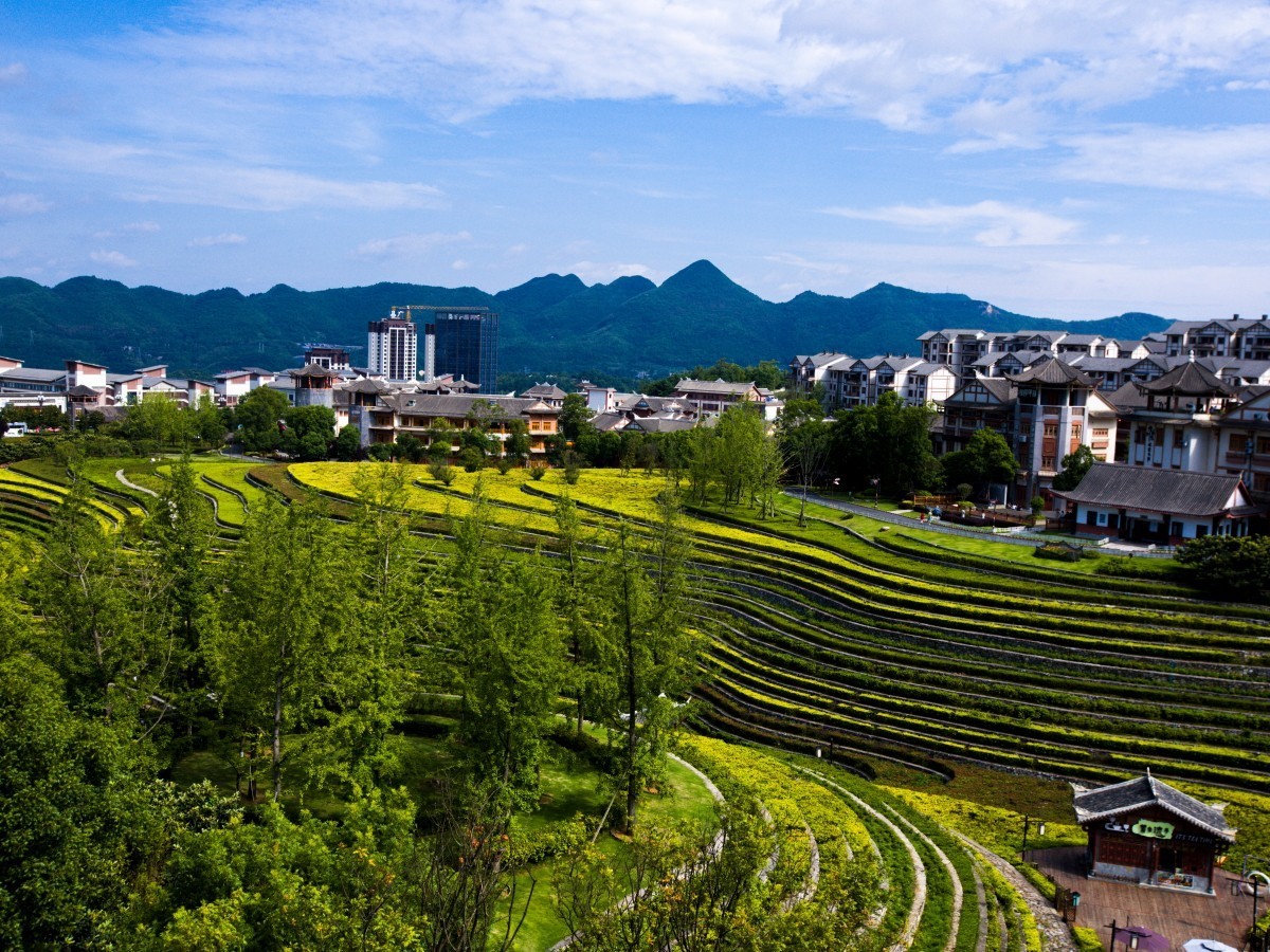 外出随拍（续143）.