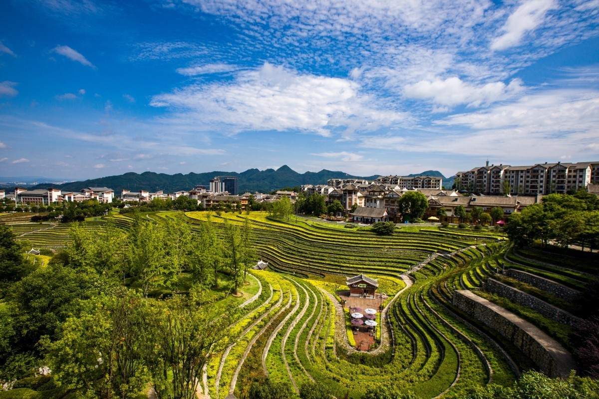 外出随拍（续143）.