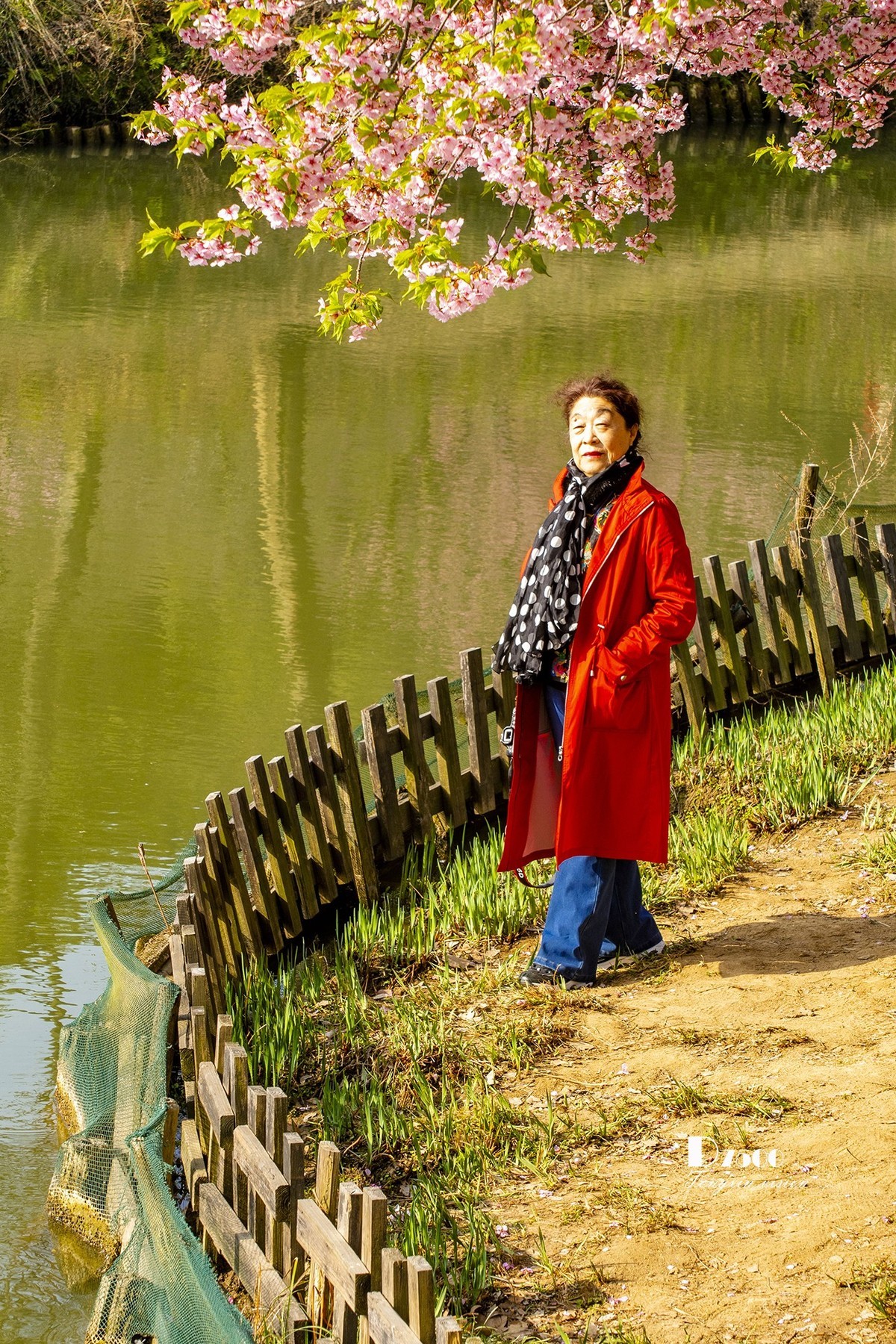 三月下江南——无锡鼋头渚（15）