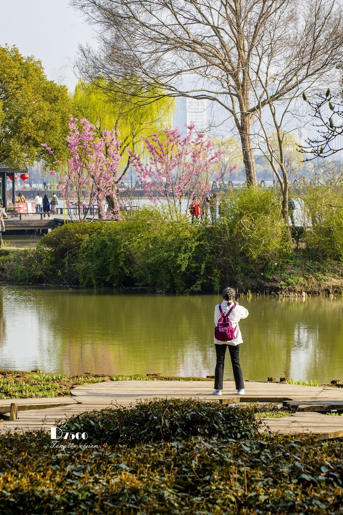 三月下江南——无锡鼋头渚（15）