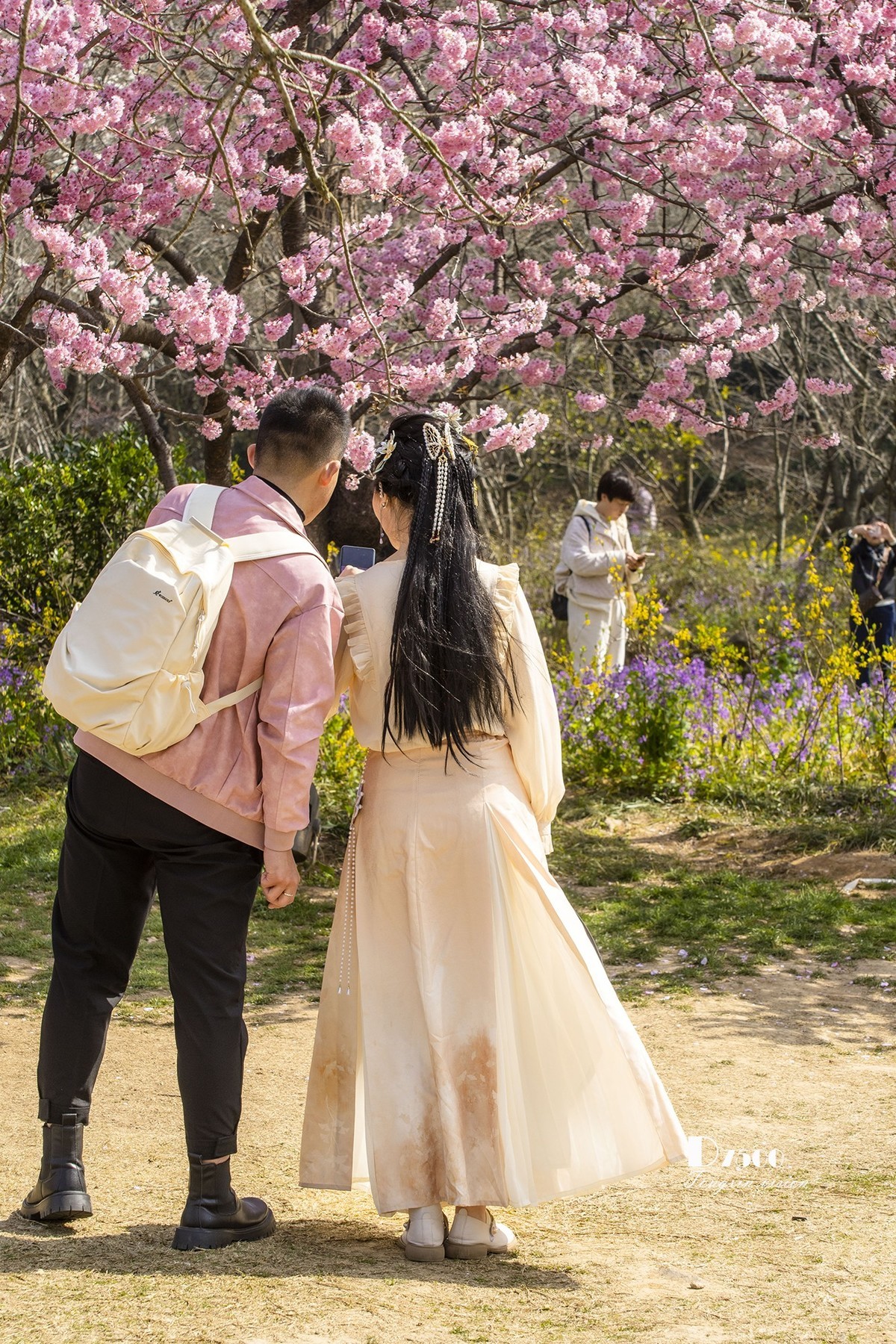 三月下江南——无锡鼋头渚（15）