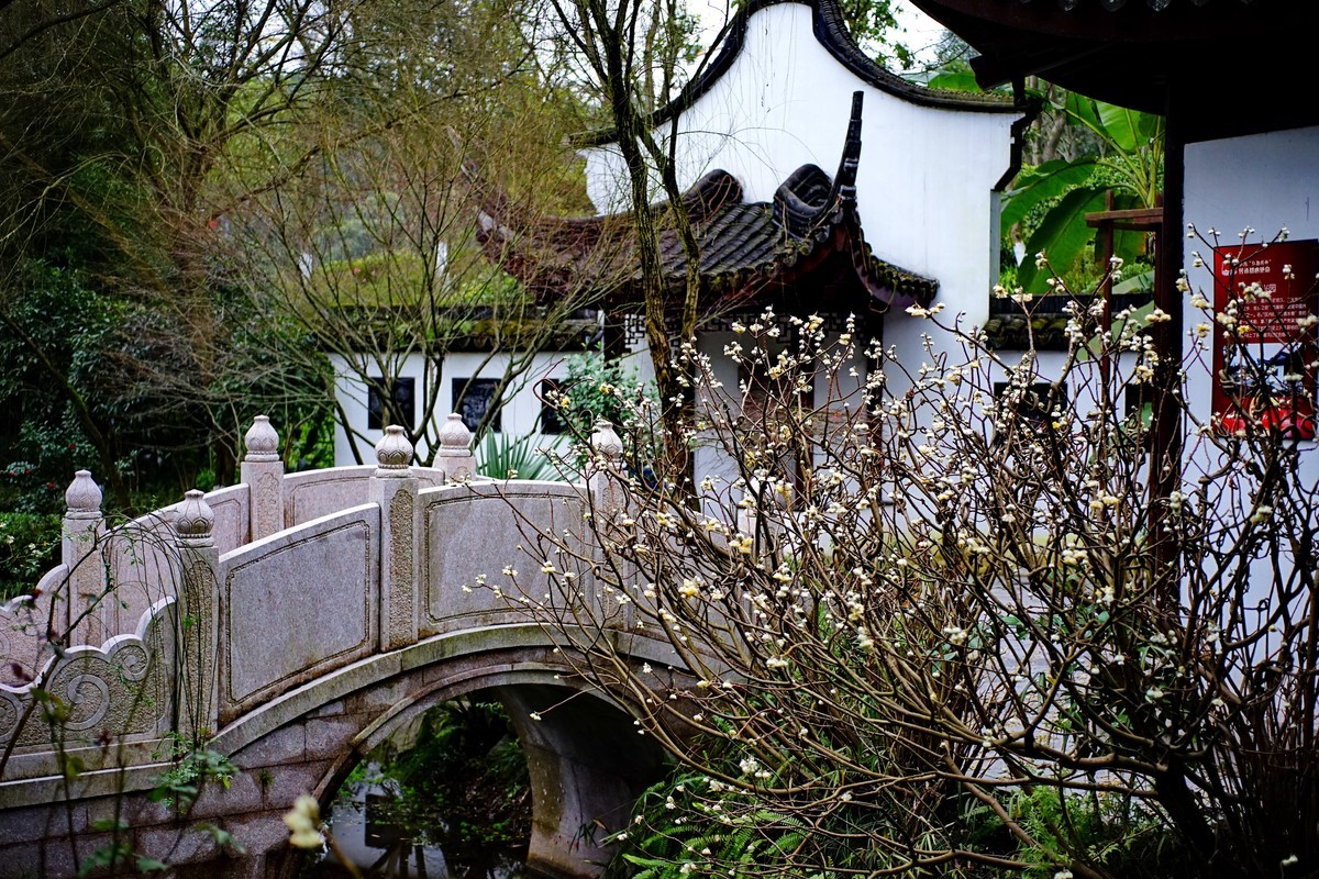 美能达50微拍园博园