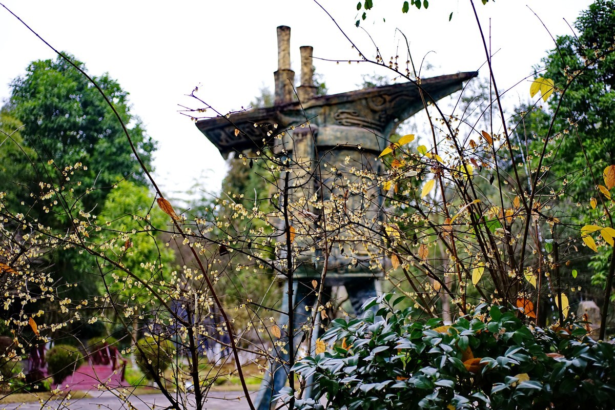 美能达50微拍园博园