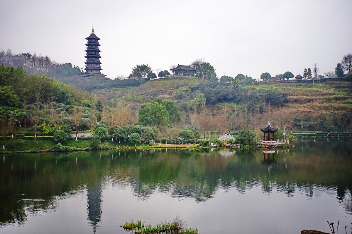 美能达50微拍园博园