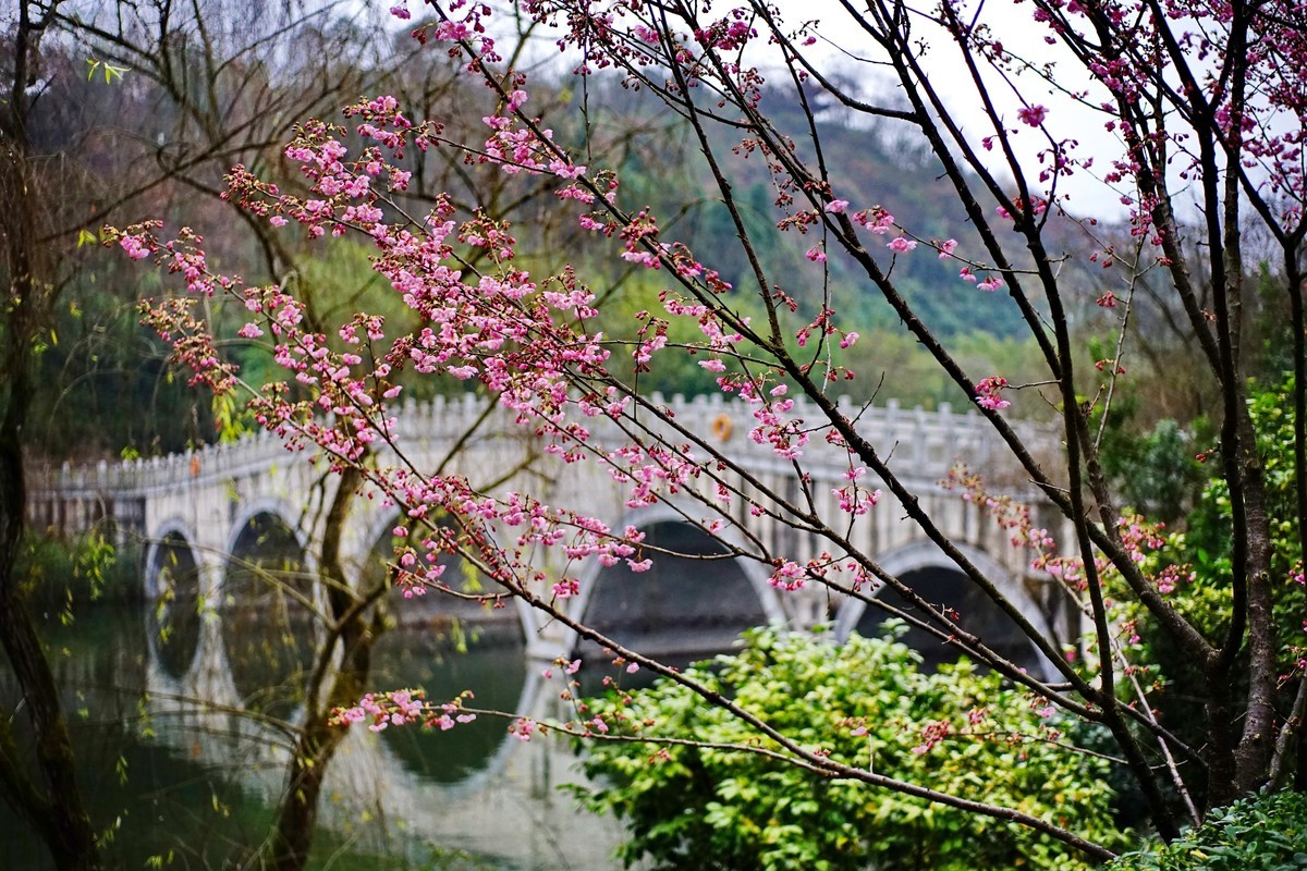 美能达50微拍园博园