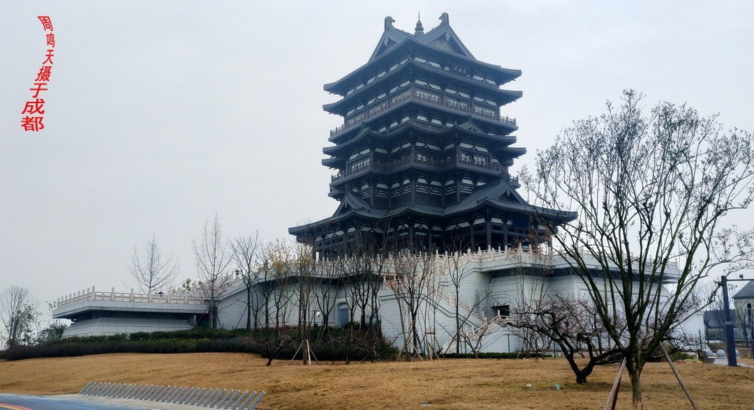 成都世大运主会场飞碟二、    周鸣天