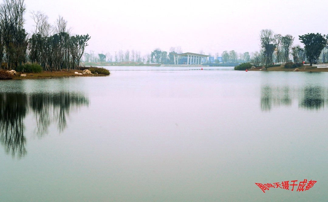 成都世大运主会场飞碟二、    周鸣天