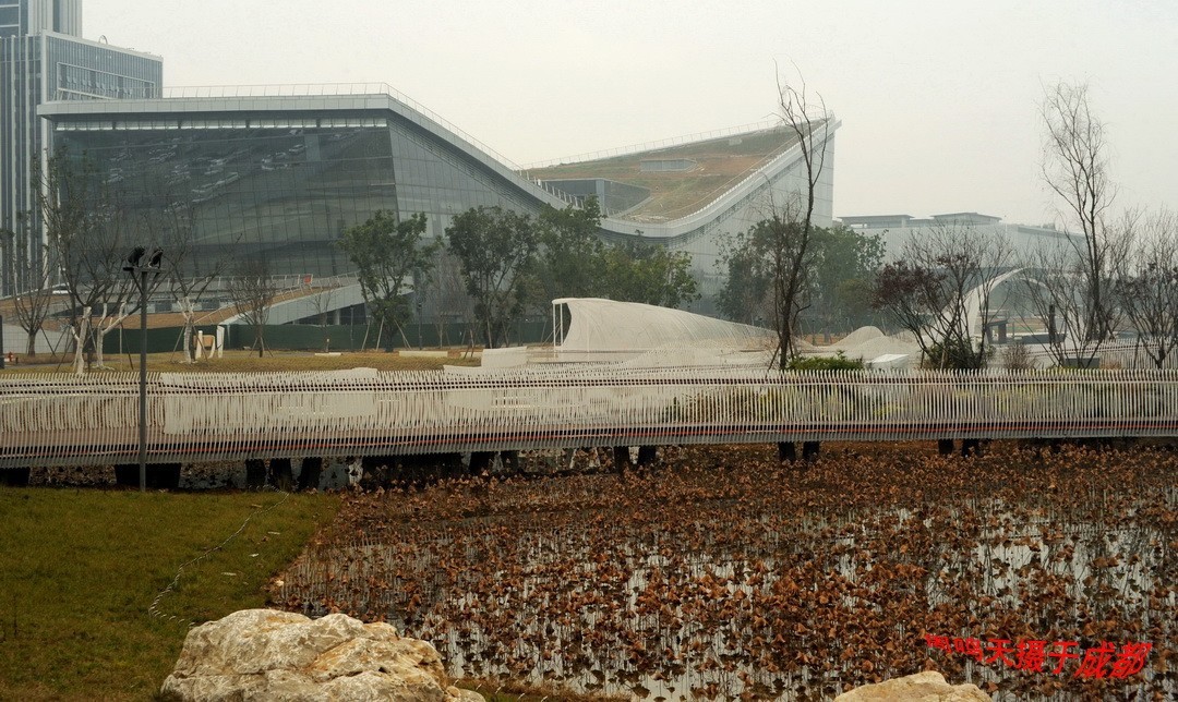 成都世大运主会场飞碟二、    周鸣天