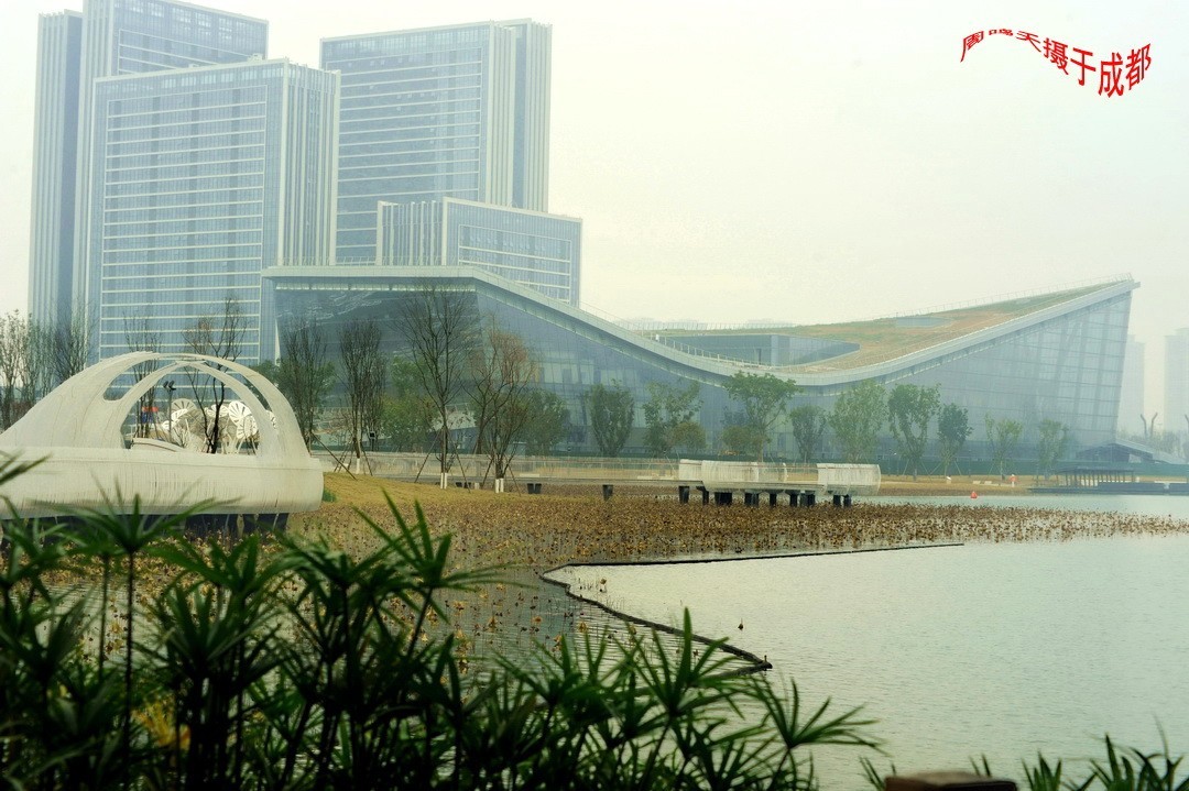 成都世大运主会场飞碟二、    周鸣天