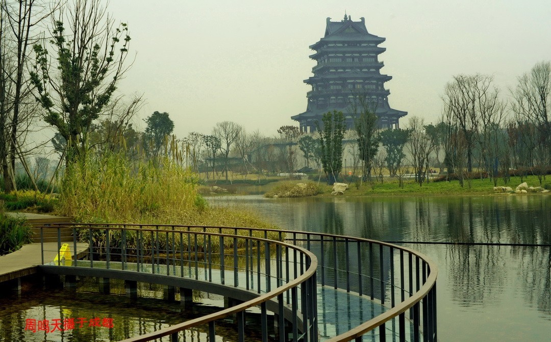 成都世大运主会场飞碟二、    周鸣天