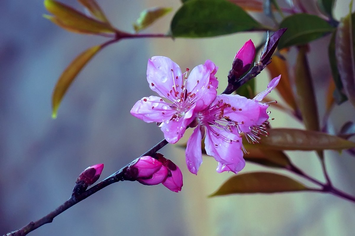 2021_拍花的季节58