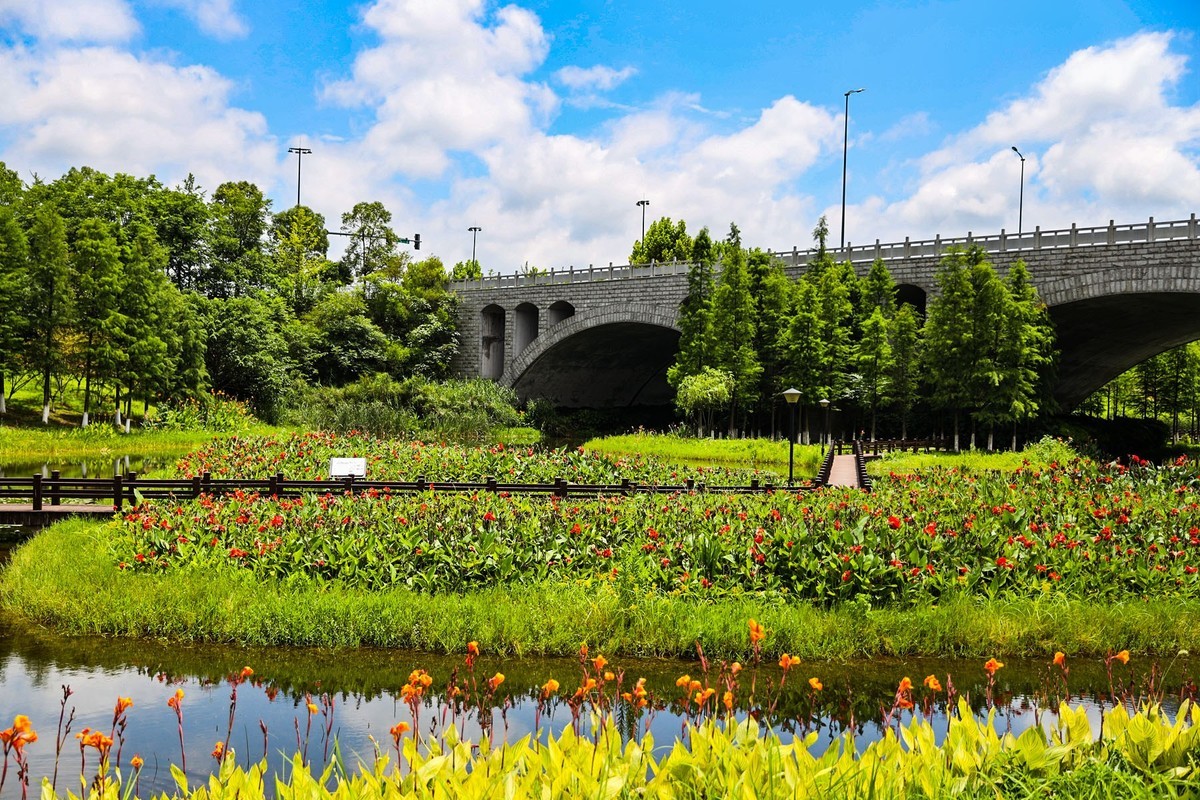 洋湖溼地公園7