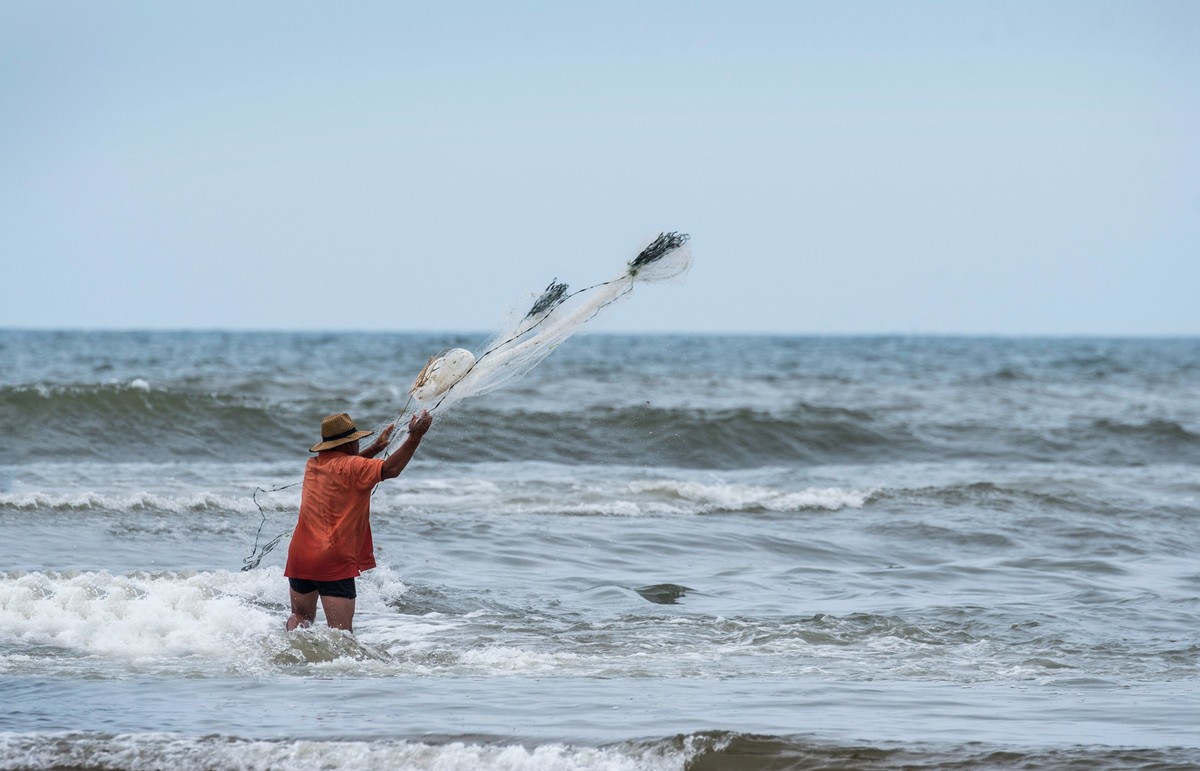海边淘（十九）