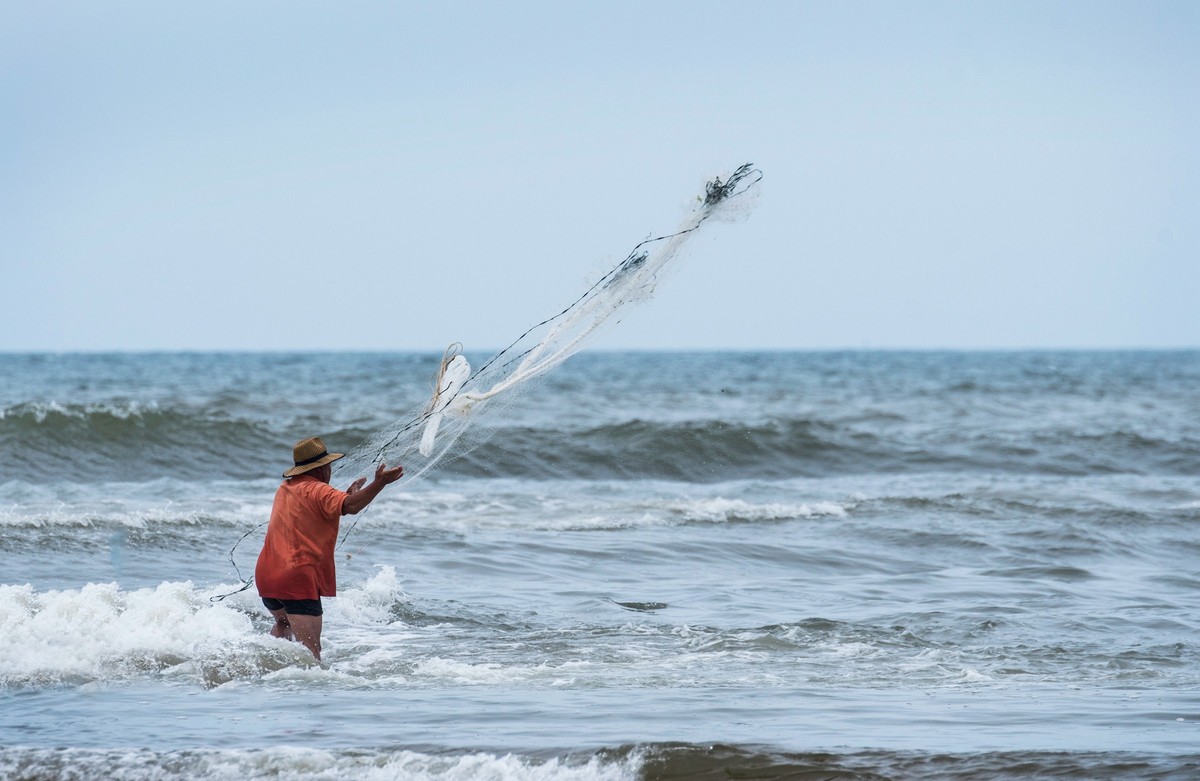 海边淘（十九）
