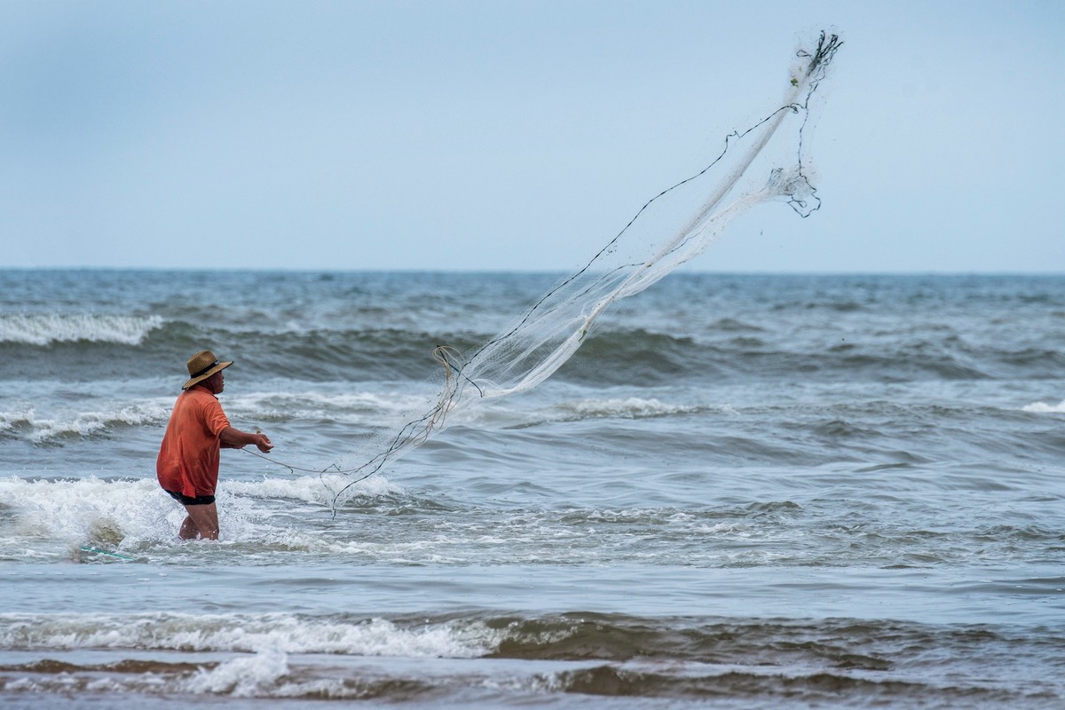 海边淘（十九）