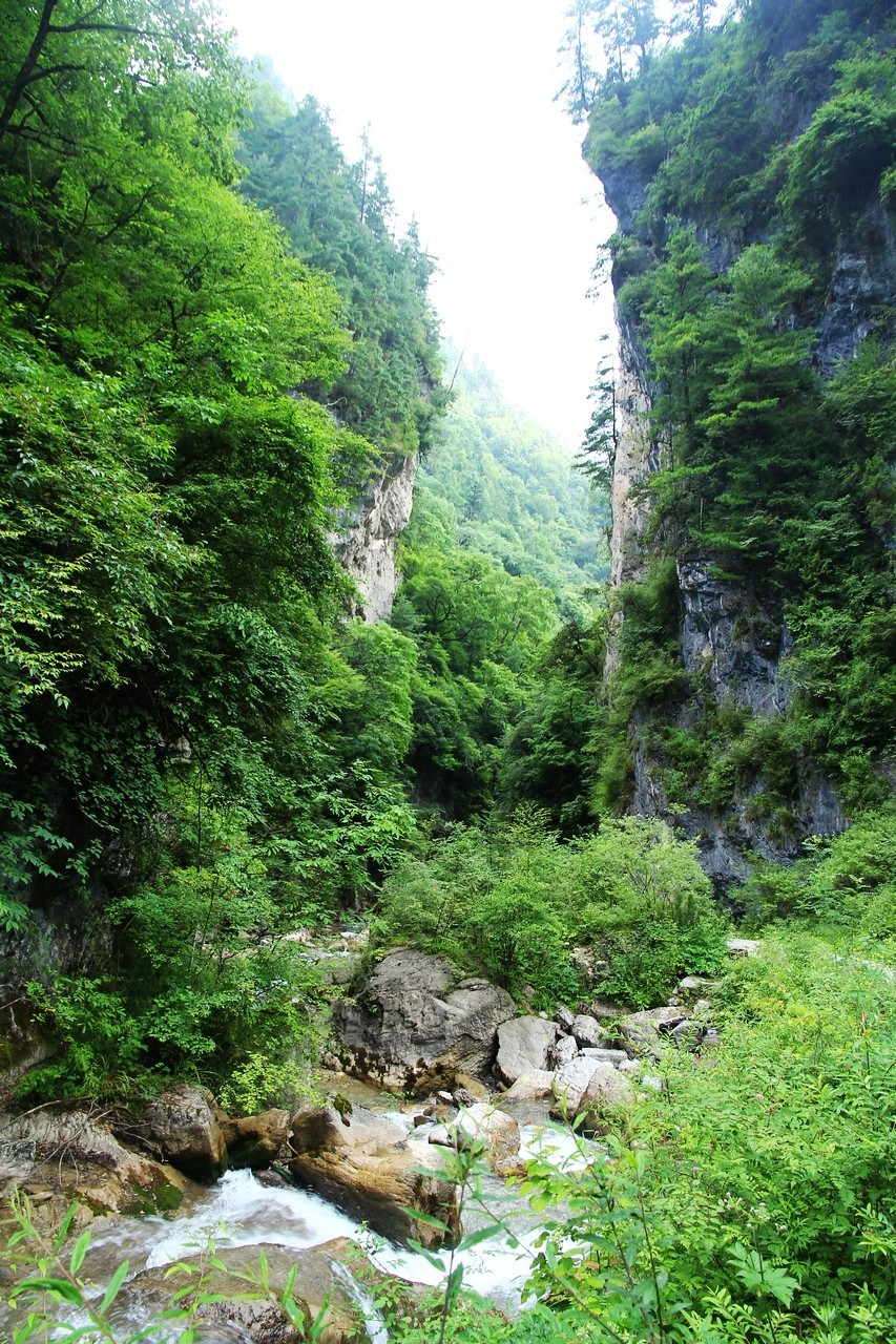 15-85配老60D成像非常不错的！