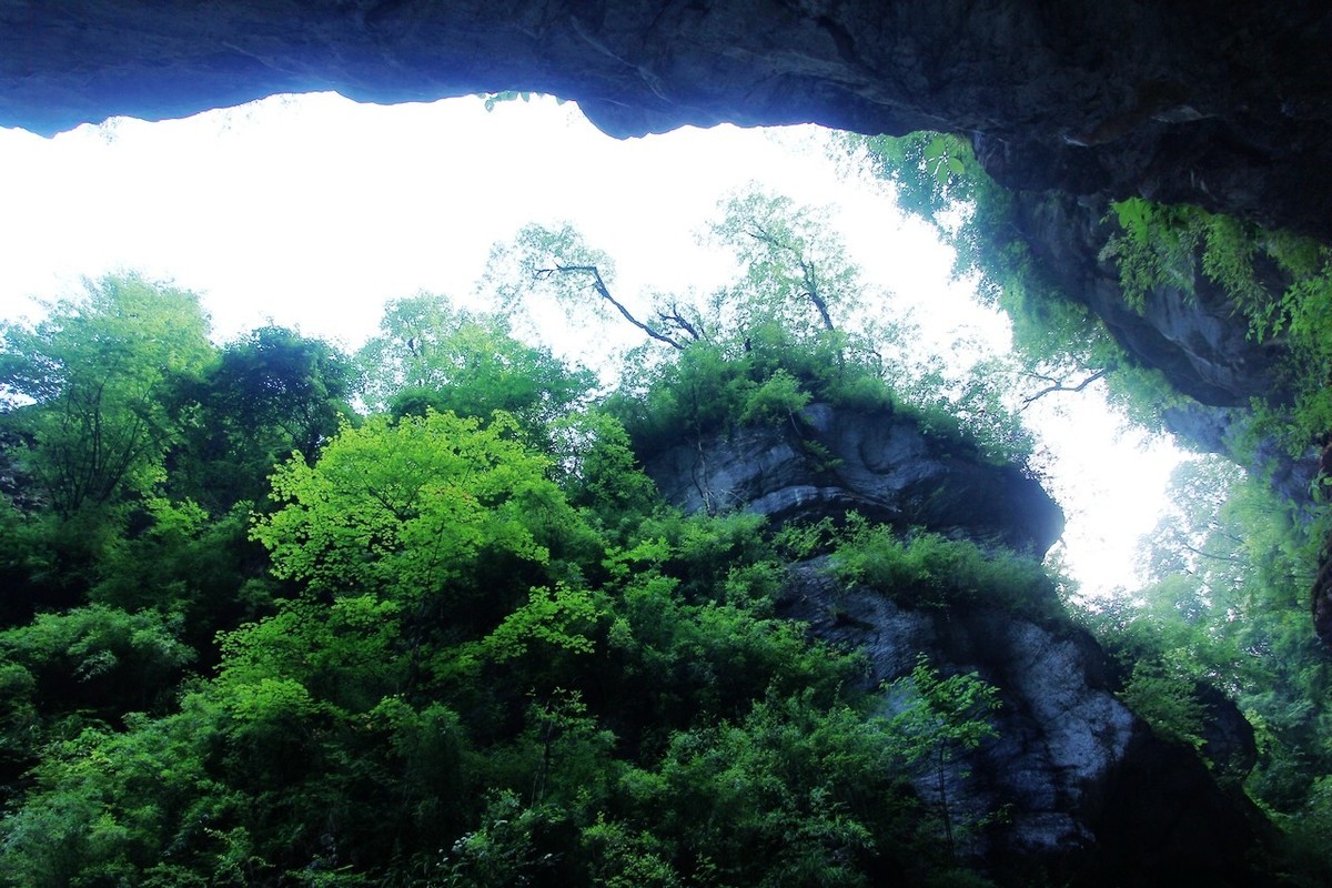 15-85配老60D成像非常不错的！