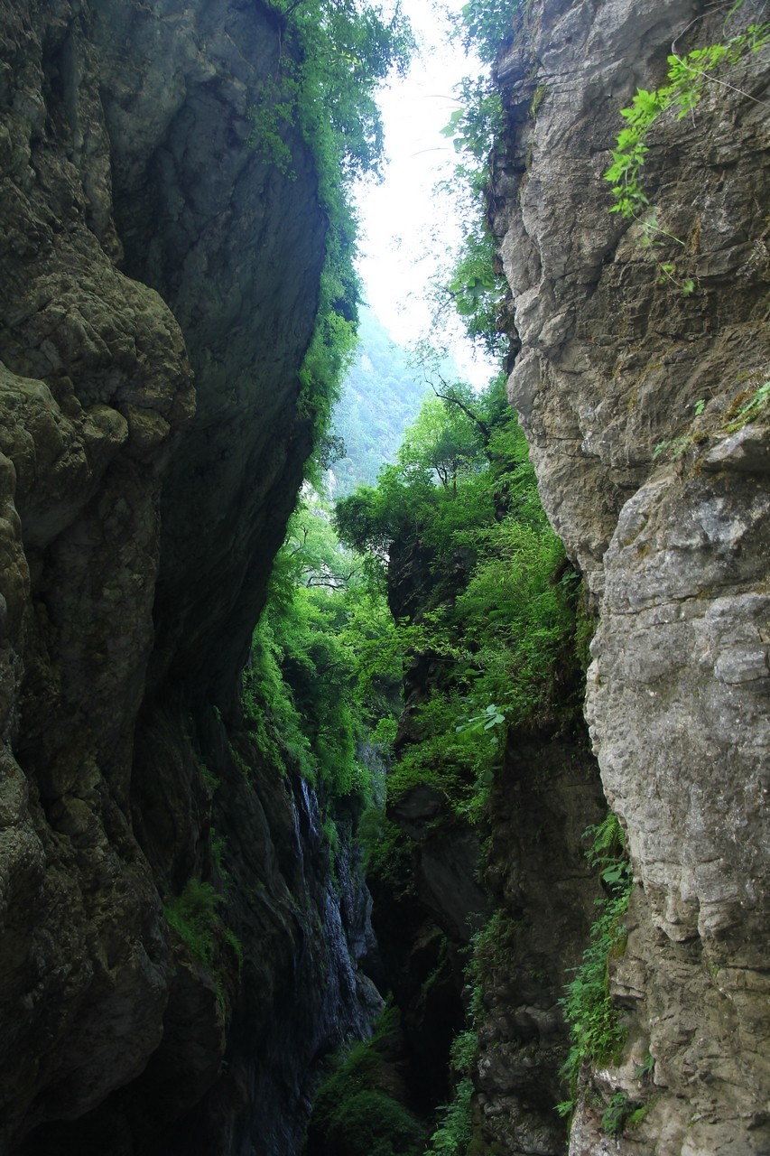 15-85配老60D成像非常不错的！