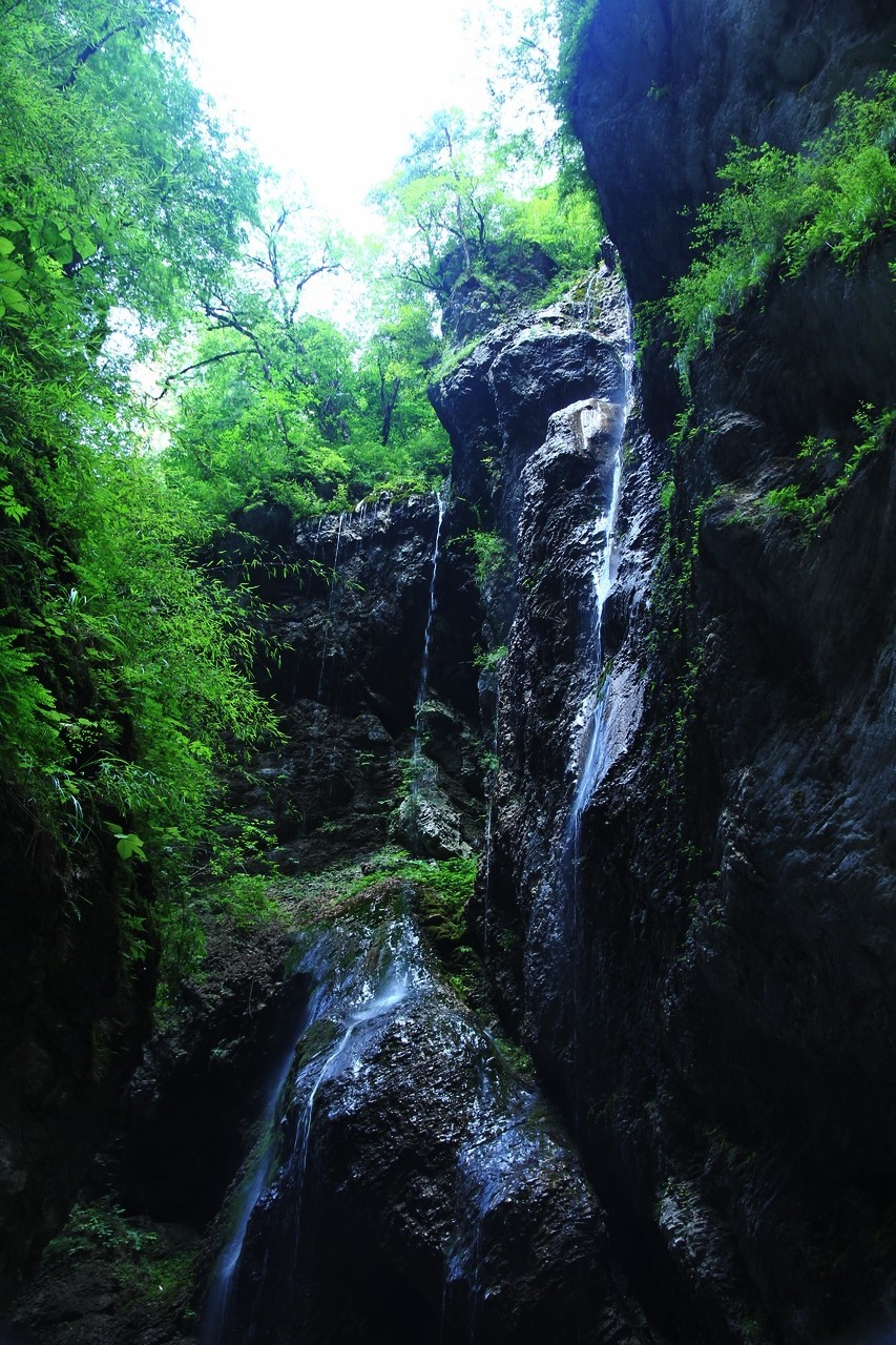 15-85配老60D成像非常不错的！