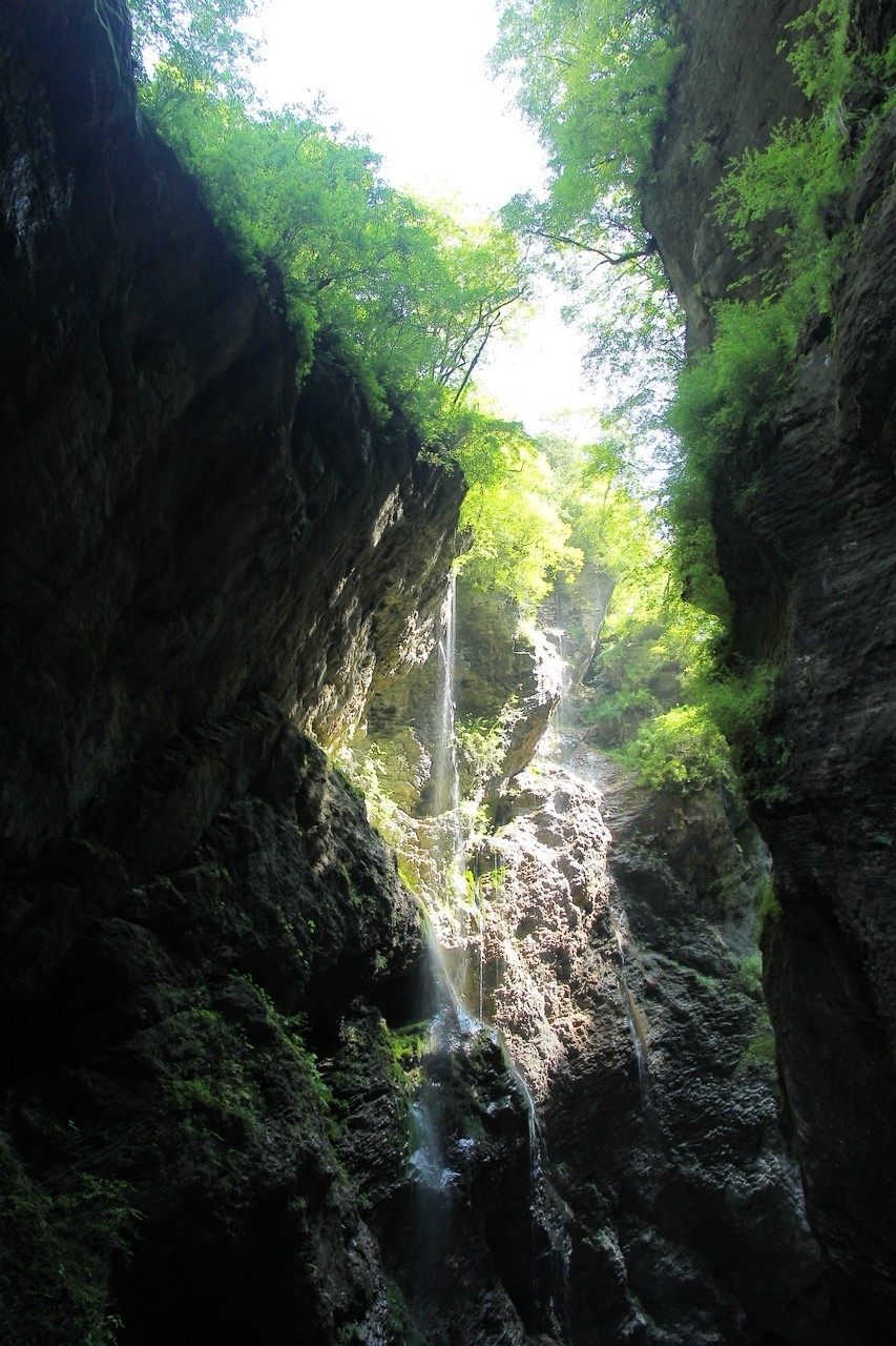 15-85配老60D成像非常不错的！