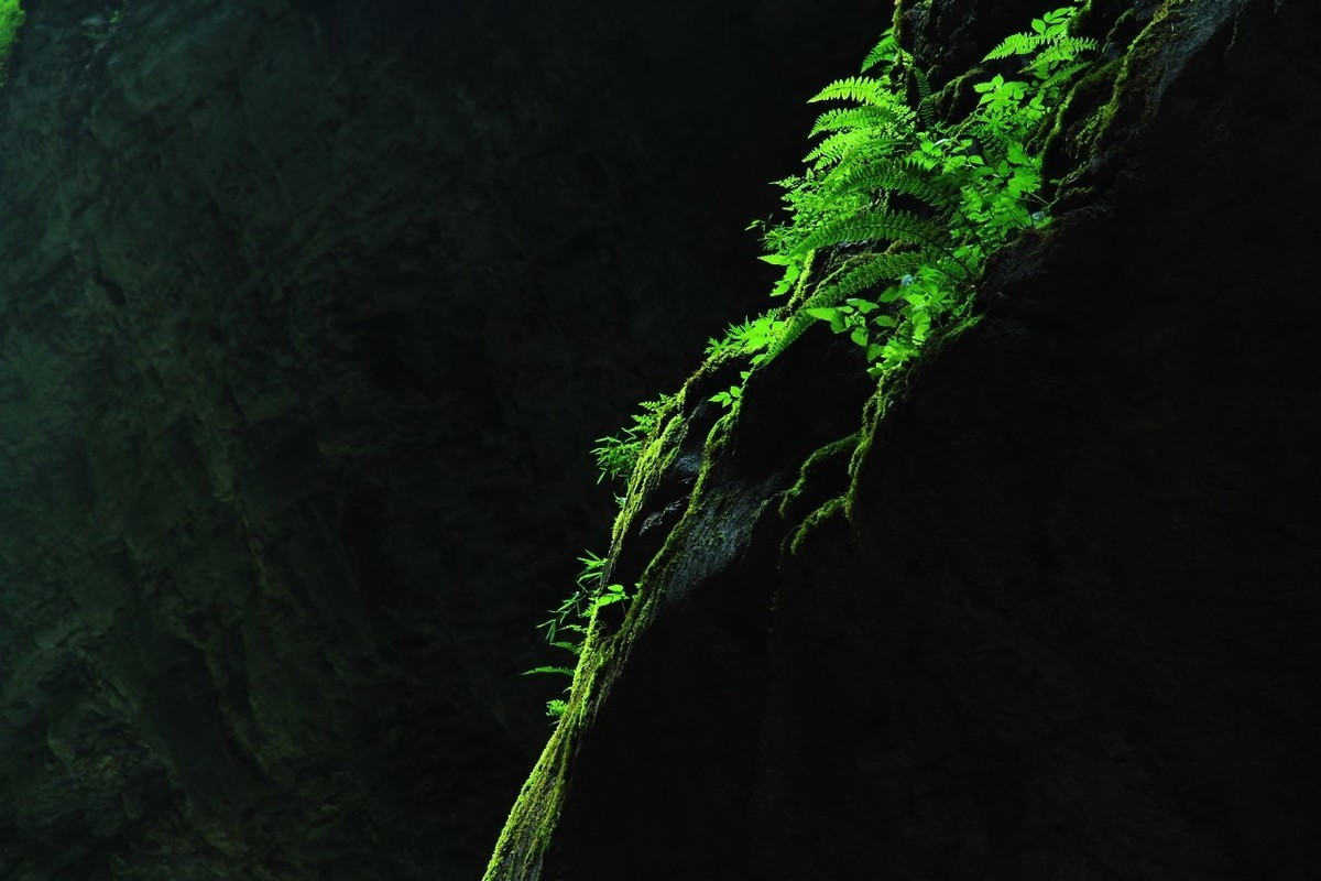 15-85配老60D成像非常不错的！