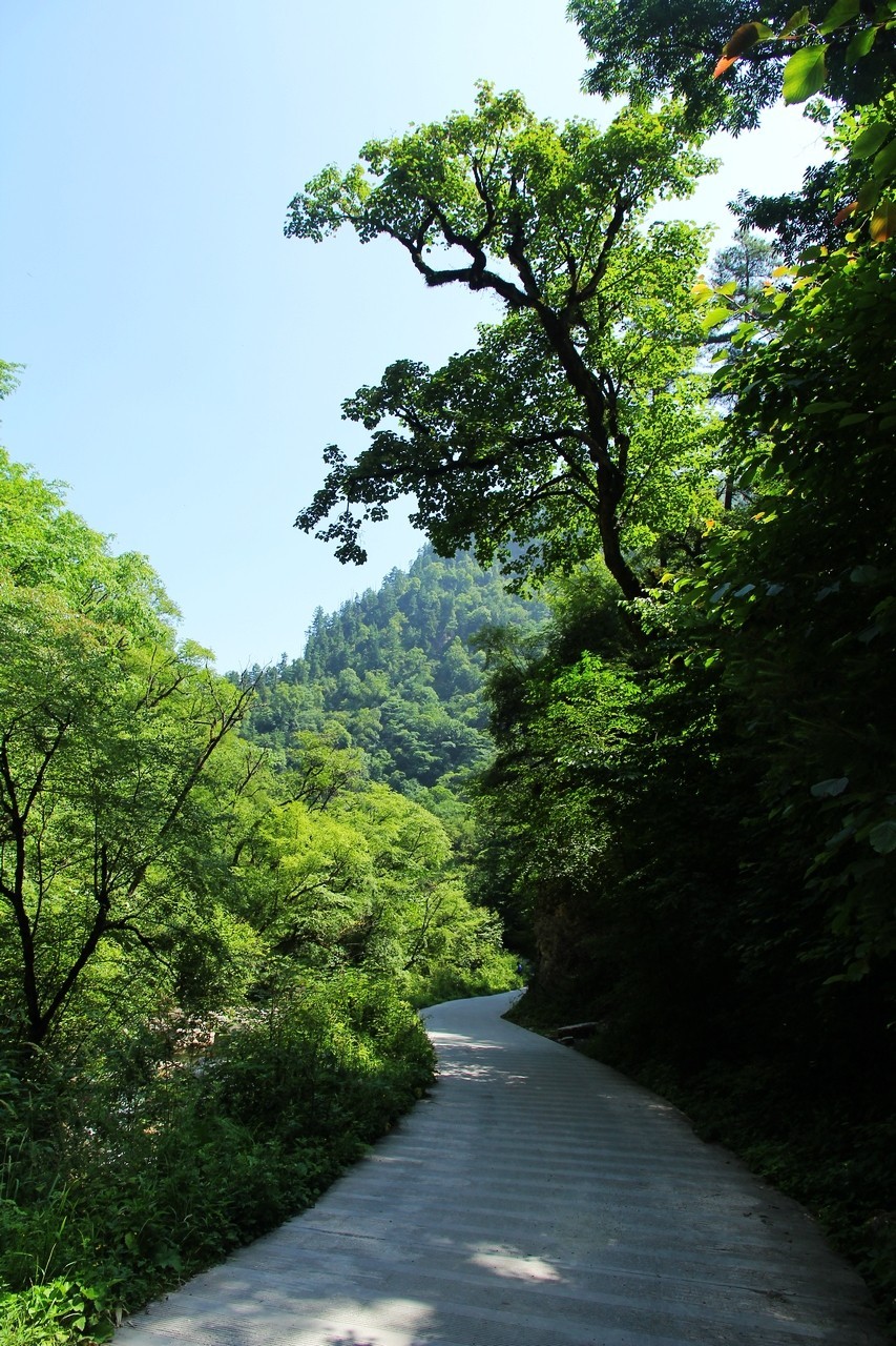 15-85配老60D成像非常不错的！