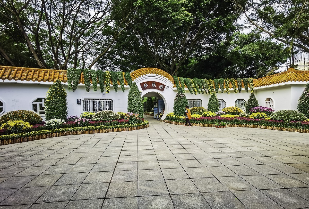 深圳东湖公园掠影