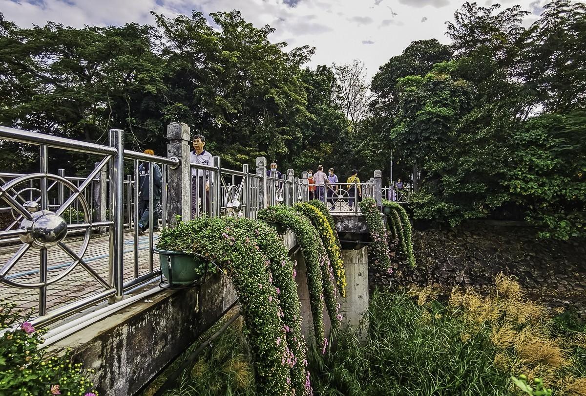 深圳東湖公園掠影