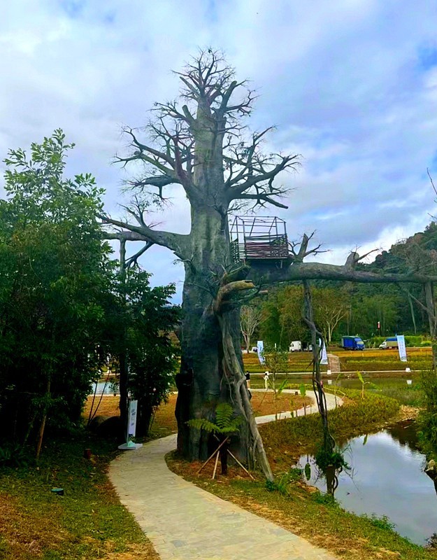 《不老松：纪实摄影》14我的妹妹、妹夫和姑爷自驾車海南环島游!