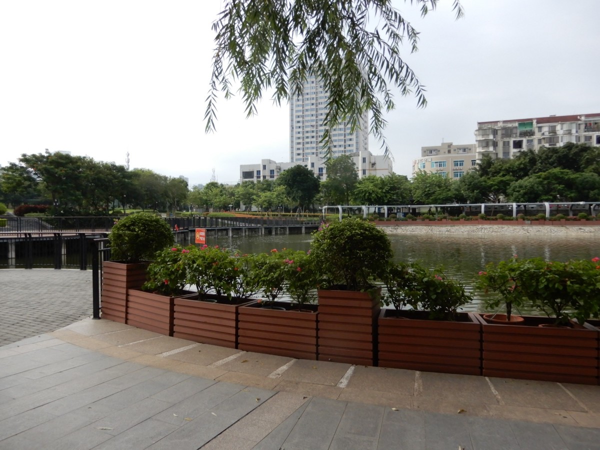 美丽的厦门郊外早晨风光摄影--130