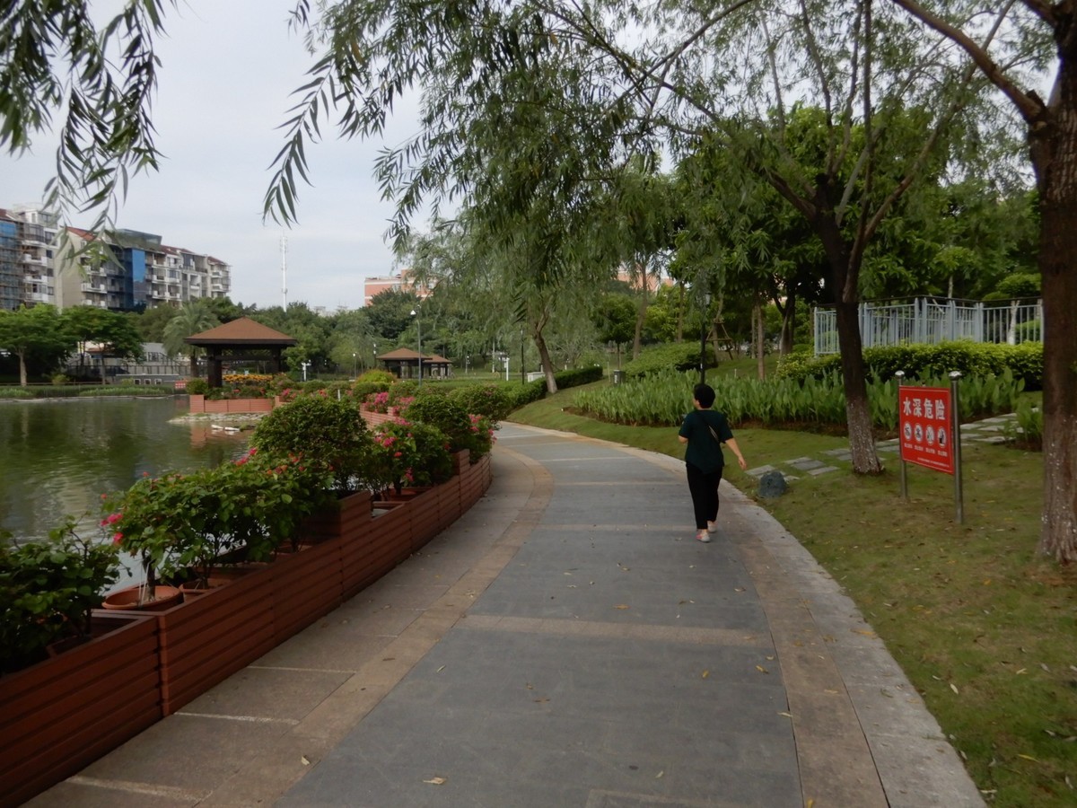 美丽的厦门郊外早晨风光摄影--130