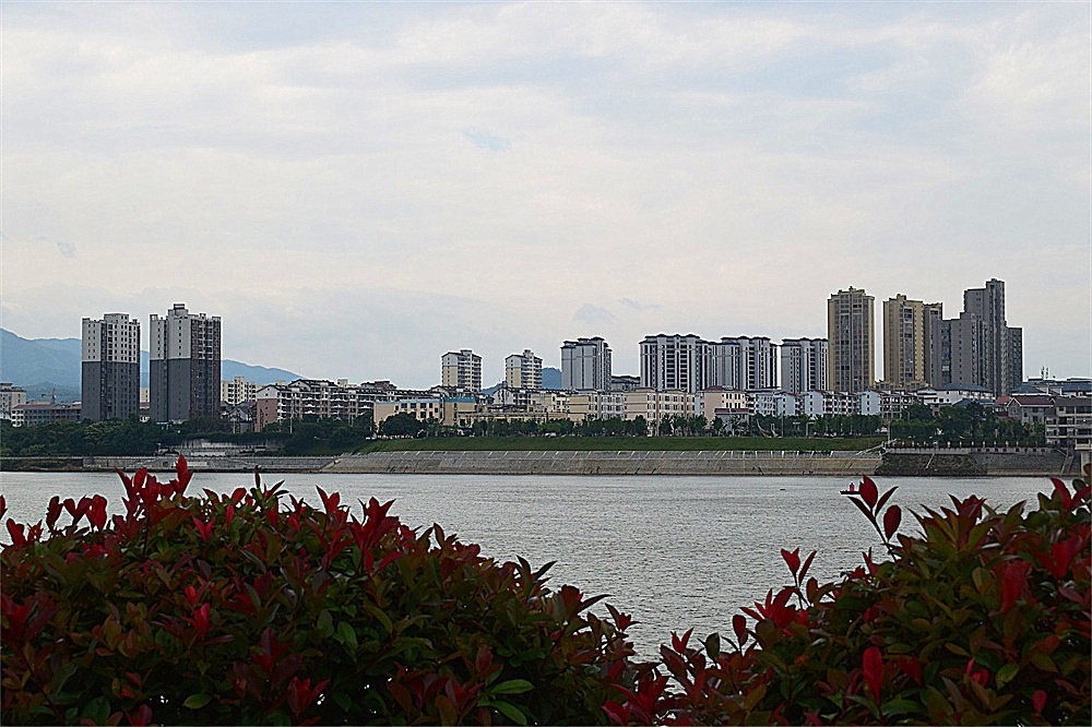 ～随拍·杂片～