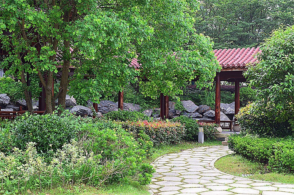 ～随拍·杂片～