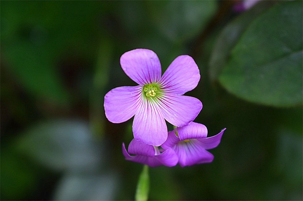 ～随拍·杂片～